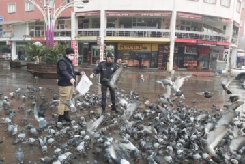 HOPA’DA YABAN HAYVANLAR UNUTULMADI