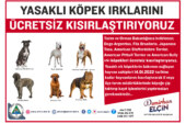 ARTVİN’DE YASAKLI KÖPEK IRKLARINI ÜCRETSİZ KISIRLAŞTIRILIYOR