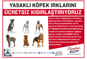 ARTVİN’DE YASAKLI KÖPEK IRKLARINI ÜCRETSİZ KISIRLAŞTIRILIYOR