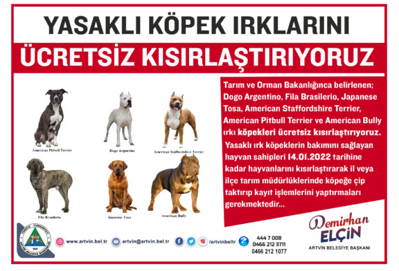 ARTVİN’DE YASAKLI KÖPEK IRKLARINI ÜCRETSİZ KISIRLAŞTIRILIYOR