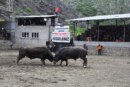 MELO ARENA’NIN ŞAMPİYONU: MEGASTAR SABRİ