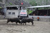 MELO ARENA’NIN ŞAMPİYONU: MEGASTAR SABRİ