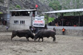 MELO ARENA’NIN ŞAMPİYONU: MEGASTAR SABRİ